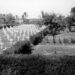 Callous disdain for the memory of the fallen